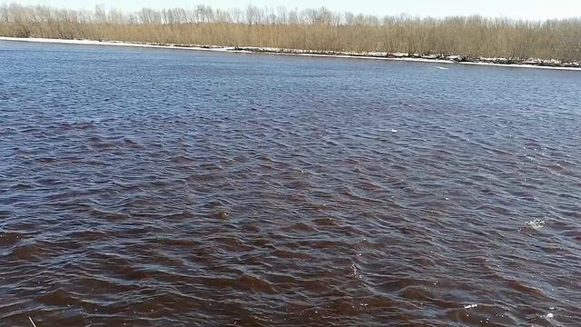 VID_20250503_121041.mp4
