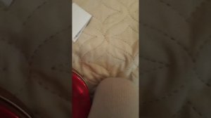 догдэй король 🐶😍🥰💋❤️