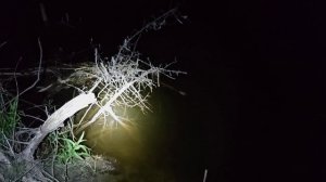 Вечерняя рыбалка и фото охота на щуку на реке Припять