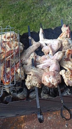 КУРИНЫЕ КРЫЛЫШКИ НА МАНГАЛЕ