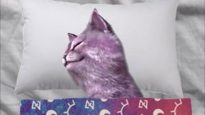 Смешные моменты #3 Кошка Лана и Кот Леонард