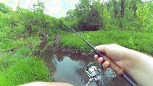 РУЧЕЙ ПО КОЛЕНО КИШИТ РЫБОЙ#Попали на КЛЁВ РЫБЫ#  Клюёт из ПОД КУСТА на УДОЧКУ !!!