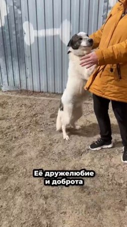 Несмотря на испытания, не потеряла веру в людей! | Ребекка