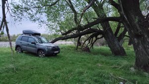 Рыбалка на линя.