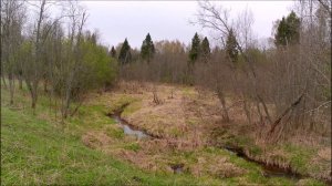 Копарьские бродилки. Конец апреля, начало мая 25.