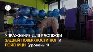 Мобилизация поясницы и задней поверхности ног