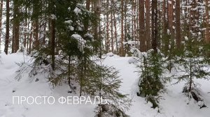 ПРОСТО ФЕВРАЛЬ. ХОЛОДНО( группа,, Сентябрь'')