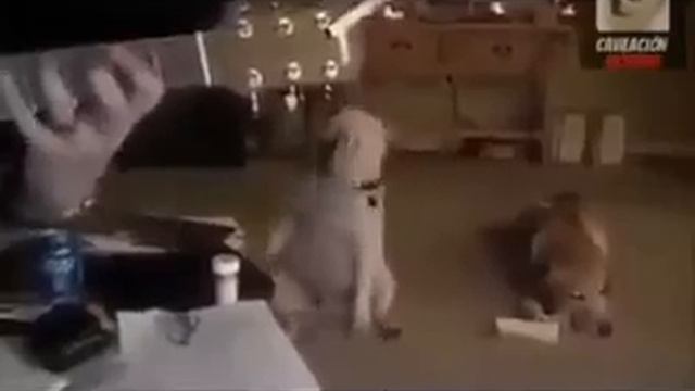 Собака танцует😁😁