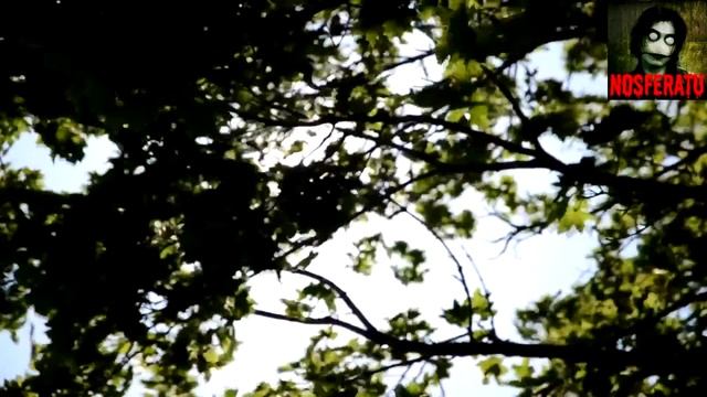 Девочка с противным голосом.  Страшные истории на ночь 🫣🫣🫣