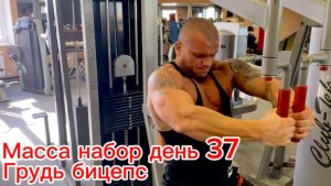 масса набор день 37