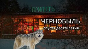 Радиация и жизнь: Чернобыль спустя десятилетия