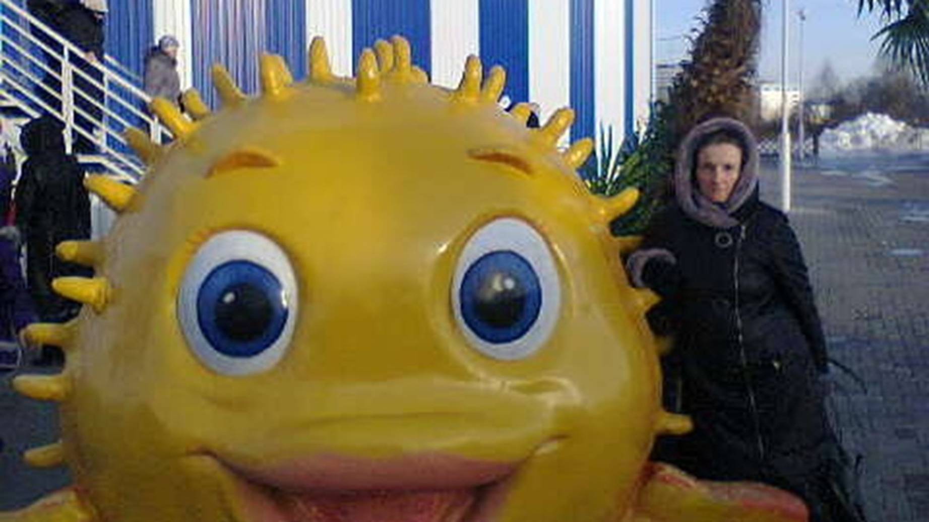 20.01.25.я это сделала_комментарии-рассказала то, что не хотела рассказывать_Новый год 2012-2013 Мин