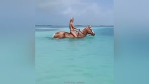 Смешные видео С ЖИВОТНЫМИ 😊 Самые смешные КОШКИ😺 и СОБАКИ🐶