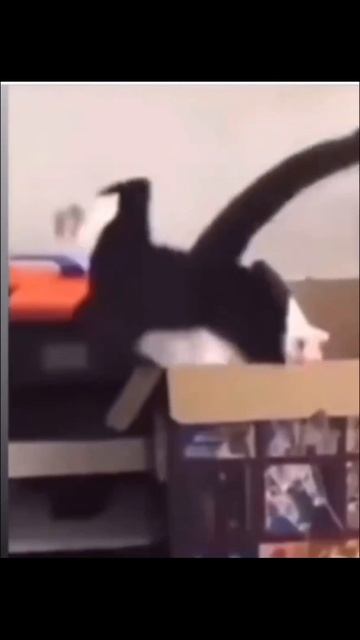 💚КАК ЭТО ПРОИСХОДИТ😉 💚 смотреть онлайн