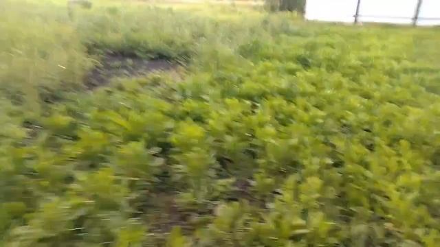 🥔Пробуем капать картошку 🏡Домик в деревне