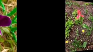 Красота и уют.mp4