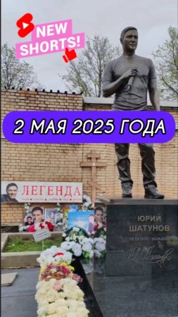 всё достойно: во благо памяти Юрия Шатунова #shorts #шатунов #2025 #short #белыерозы #ласковыймай