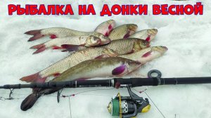 Рыбалка на донки весной.