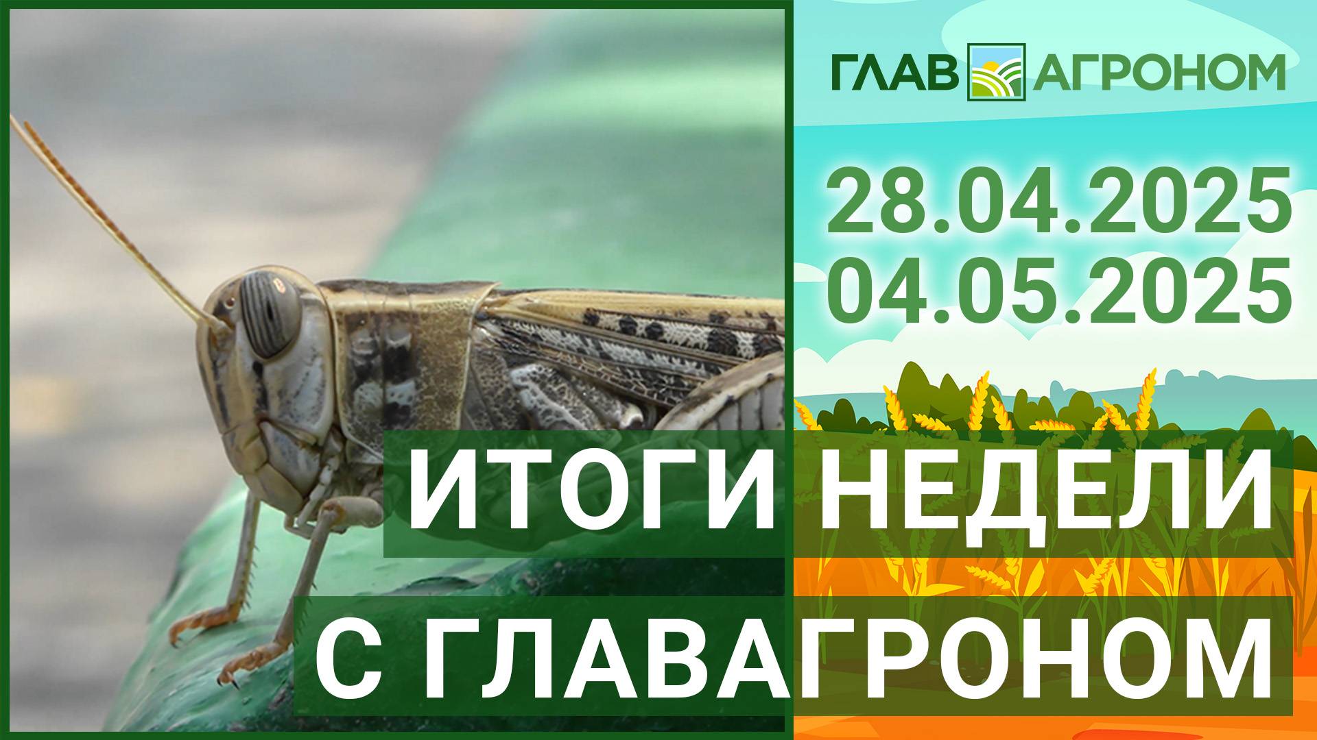 Итоги недели с ГлавАгроном. 28.04.2025 - 04.05.2025