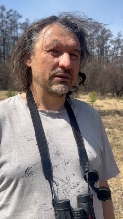 Орнитологи vs рыцари
