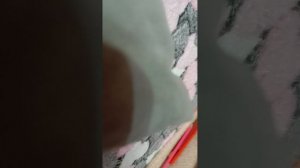 1000001378.mp4