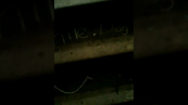 Вызов smile.dog