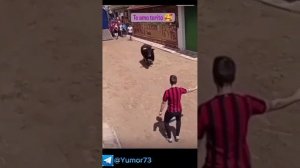 Сборка Смешных Видео!