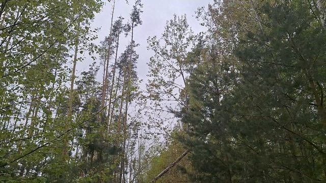 Смотреть страшные видео ужасы на канале Ужастиков 
