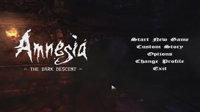 Amnesia - The Dark Descent
