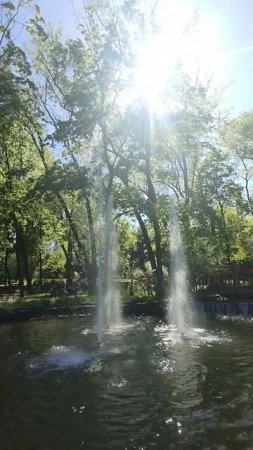 Фонтан в парке Щербакова сегодня
