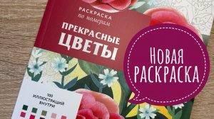 Новая раскраска по номерам, Прекрасные цветы.