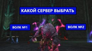 Какой сервер выбрать для комфортного старта в Lineage 2 Wolf