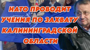 Яков Кедми о политике Германии, отношениях США и ЕС, учениях НАТО