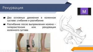 Биомеханика КС