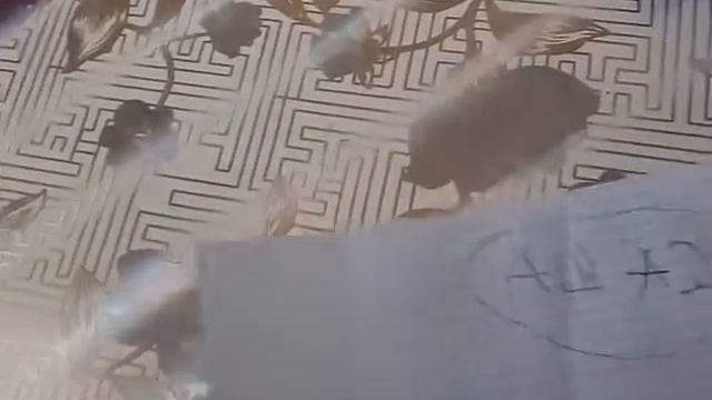 Как Вита рисует моя... Сестра смотреть онлайн