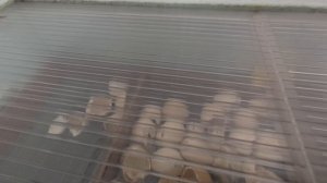 Не построили новый дом. Ура Португальцам!