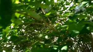Денис Клявер - Тебя удача найдет