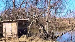 Утиный рай. Запасной скрадок