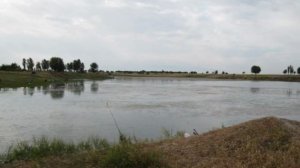 наша рыбалка 2015 часть 2