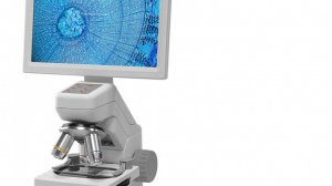 Я смотрел в микроскоп и нашёл...