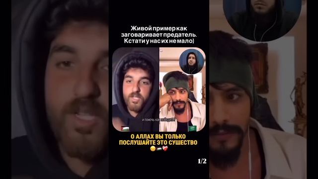 Предатель саудит...