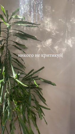 Как наладить отношения с окружением?