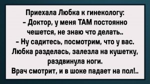 Врач Был в ШОКЕ! Сборник Свежих Анекдотов! Юмор!