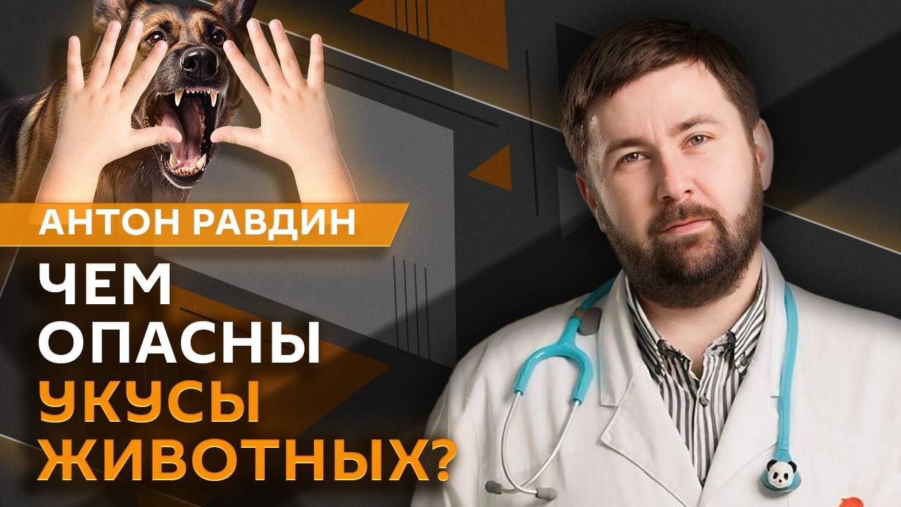 Антон Равдин. Дефицит железа, опасная езда, собачьи блохи и полезный шашлык