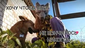 Моё первое видео на улице,из шалаша