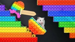 Мультики дл детей 🐹 Хомяк против лабиринта Pop It для домашних животных 🐹 Побег в реальной жизни