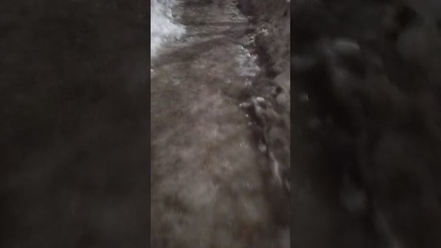 13 марта 2025 г., 20:14:11
ул. Газеты Звезда
VID_20250313_201050592