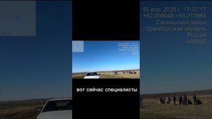 карантинные площадки и бардак с нарушением закона