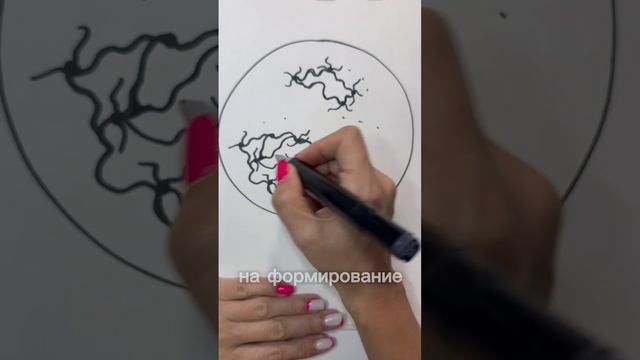 КАК ОБРАЗУЮТСЯ НЕЙРОННЫЕ СВЯЗИ
