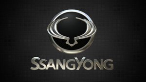 Ssang Yong D20DT. Труба вместо клапана ЕГР + заглушка. Actyon, Kyron.